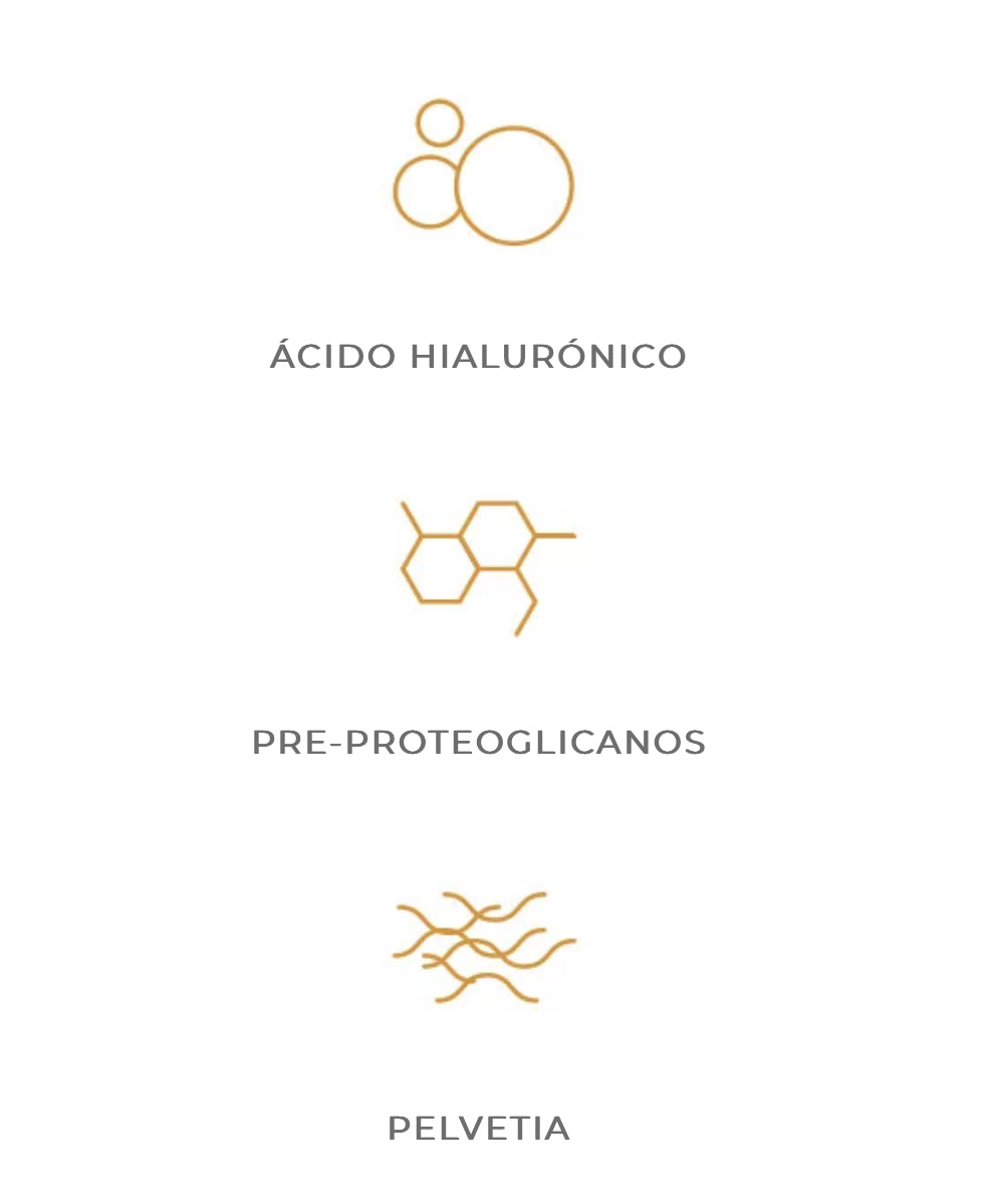 Tratamiento Ampollas Efecto Lifting Flash Ultímate Principales Componentes