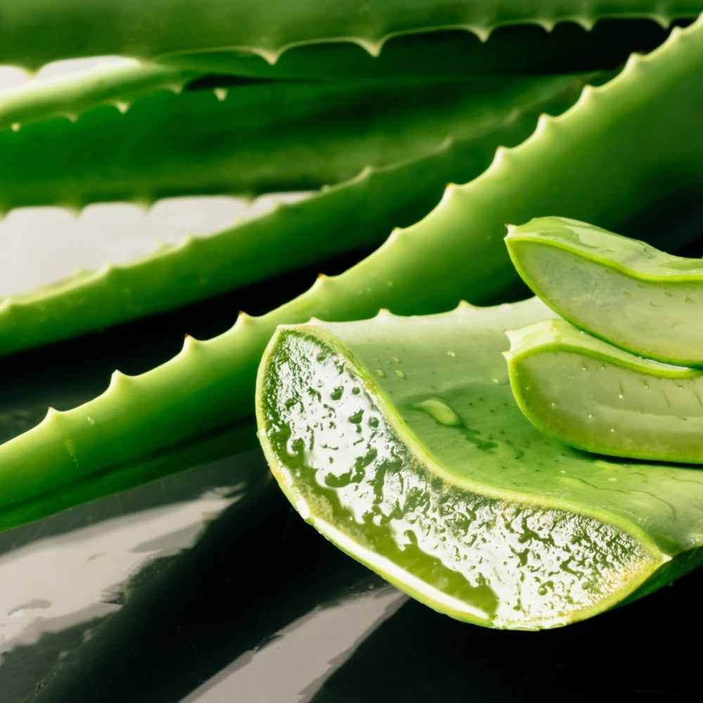 Bálsamo Labial BIO Aloe, Karité y Caléndula Hidratación y Reparación Ingredientes