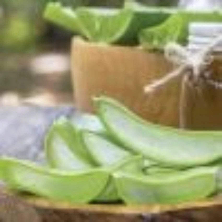 Gel Puro de Aloe Vera 100% Natural de Derbós Informacion 2